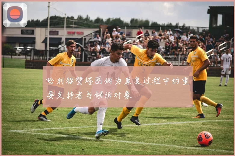 哈利称赞塔图姆为康复过程中的重要支持者与倾诉对象