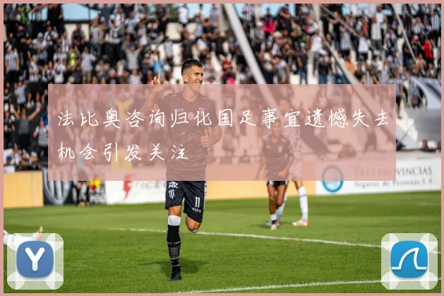 法比奥咨询归化国足事宜遗憾失去机会引发关注