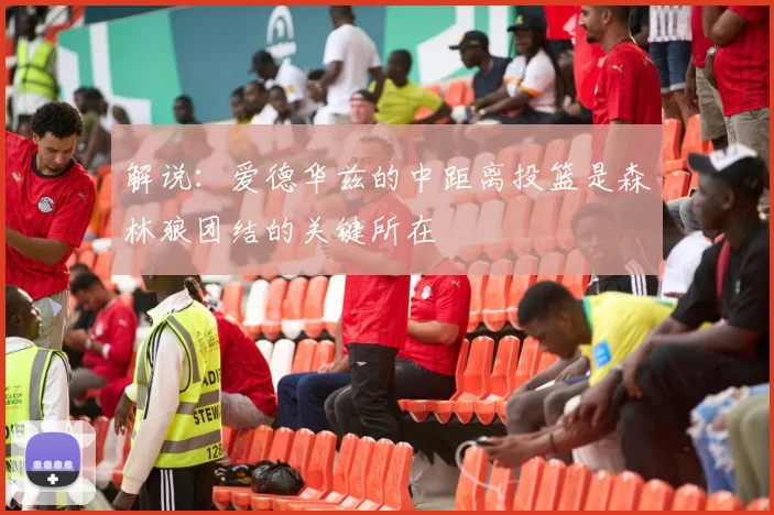 解说：爱德华兹的中距离投篮是森林狼团结的关键所在