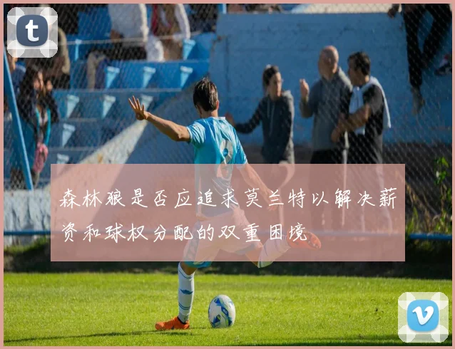 森林狼是否应追求莫兰特以解决薪资和球权分配的双重困境