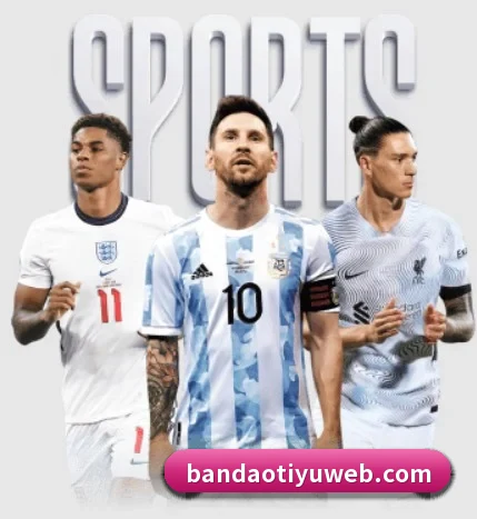 五大体育板块覆盖,从比分到直播全覆盖（bandao）